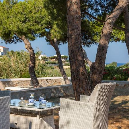 Dellagracia Mansion In Poseidonia Syros Villa Posidhonia  Ngoại thất bức ảnh