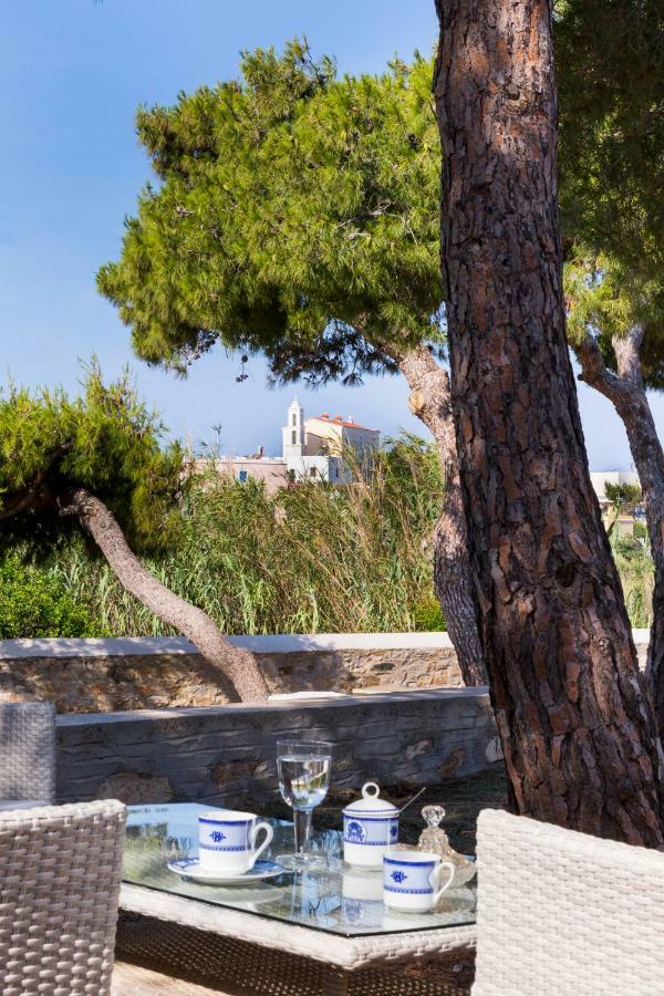 Dellagracia Mansion In Poseidonia Syros Villa Posidhonia  Ngoại thất bức ảnh